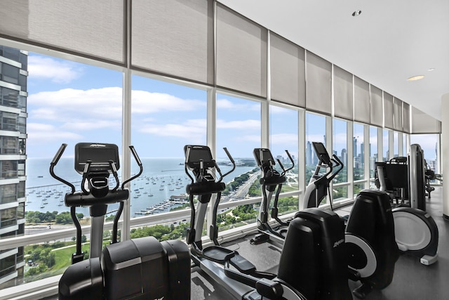 340 E Randolph St Unit 404, Chicago, IL 60601 - workout area featuring healthy amount of natural light, a water view, and floor to ceiling windows