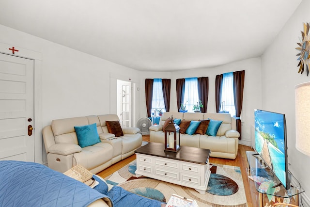 109 S Maple Ave, Oak Park, IL 60302 - living room featuring light wood-type flooring