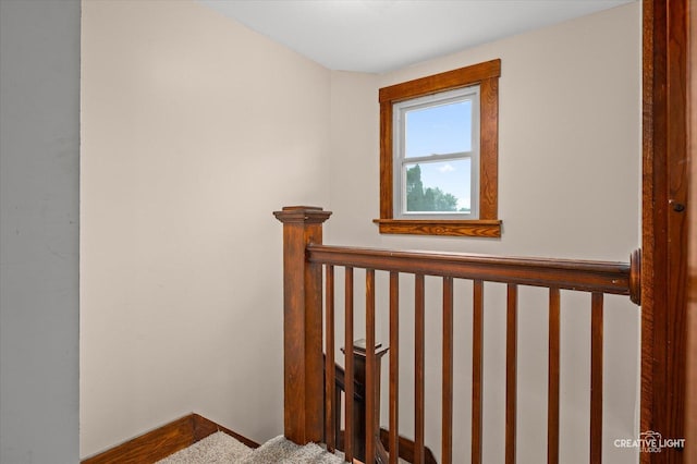 92 Maple St, Sugar Grove, IL 60554 - stairway featuring baseboards and carpet flooring