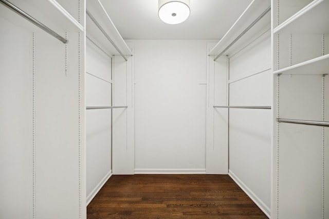 2416 Birchwood Ln, Wilmette, IL 60091 - spacious closet with dark wood-type flooring