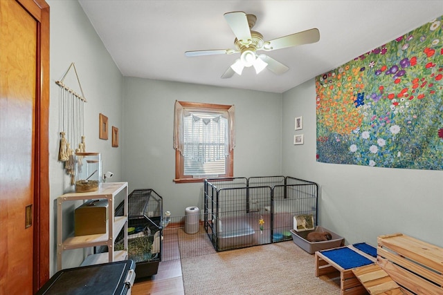 1704 Chevy Chase Dr, Champaign, IL 61821 - bedroom featuring wood finished floors and baseboards