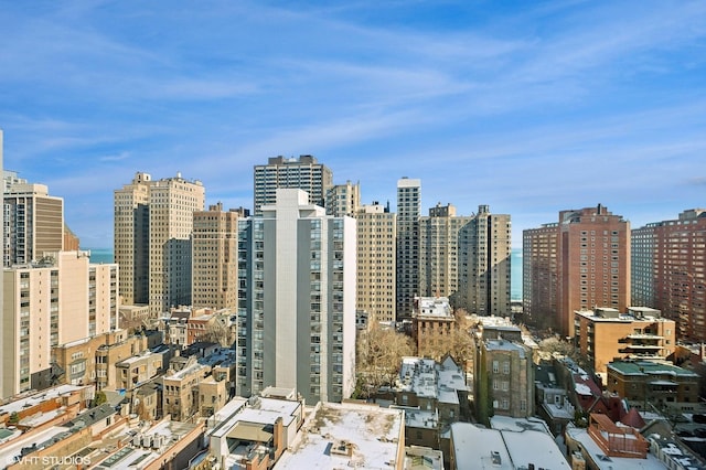 1410 N State Pkwy Unit 18B, Chicago, IL 60610 - skyline view