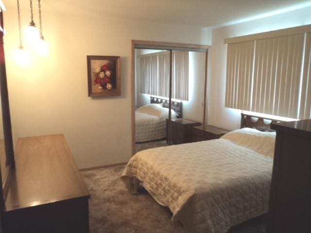 7341 W 56th Pl, Summit, IL 60501 - carpeted bedroom with a closet and baseboards