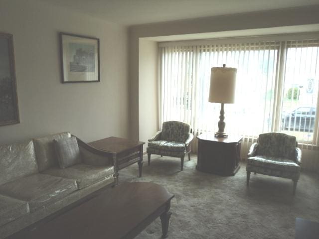 7341 W 56th Pl, Summit, IL 60501 - view of carpeted living area