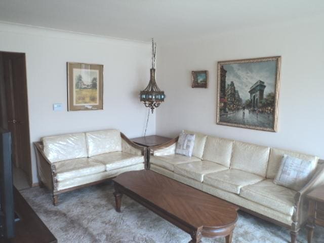 7341 W 56th Pl, Summit, IL 60501 - living room with carpet flooring and ornamental molding