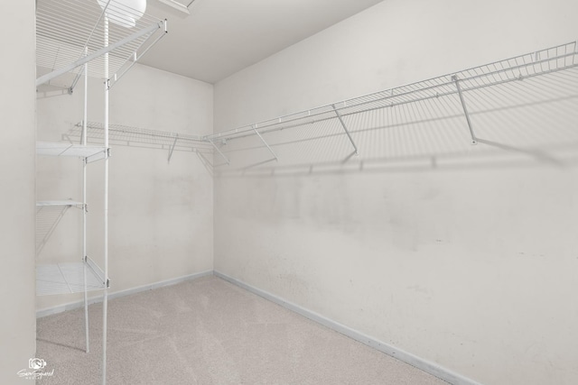 2008 Crosswind Dr, Plainfield, IL 60586 - walk in closet featuring carpet