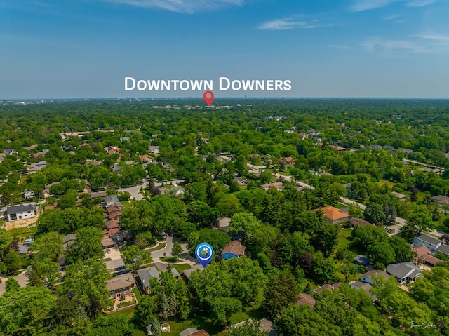 1447 Hillcrest Rd, Downers Grove, IL 60516 - aerial view of a forest