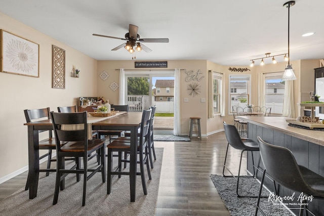 840 Peony Ln, Bourbonnais, IL 60914 - dining area with a ceiling fan, dark wood finished floors, and rail lighting