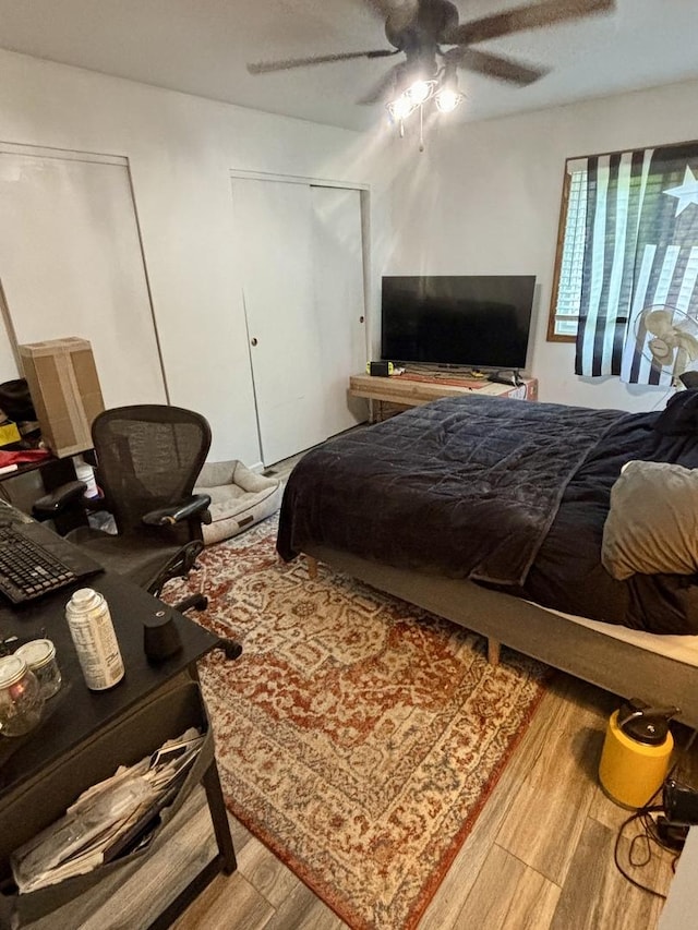 847 Teverton Ln, Crystal Lake, IL 60014 - bedroom with wood finished floors and a ceiling fan