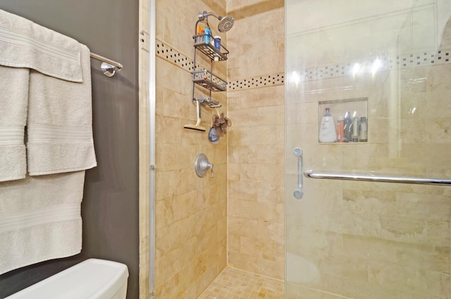405 N Wabash Ave Unit 2211, Chicago, IL 60611 - bathroom with a shower stall and toilet