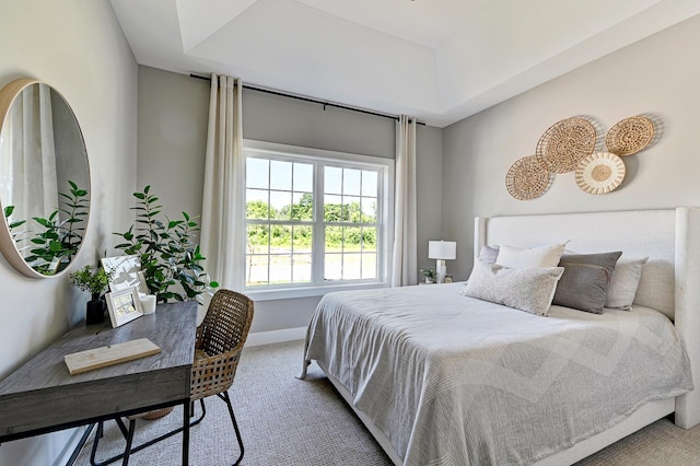 12830 Marble St Unit 25A, Lemont, IL 60439 - carpeted bedroom featuring baseboards and a tray ceiling