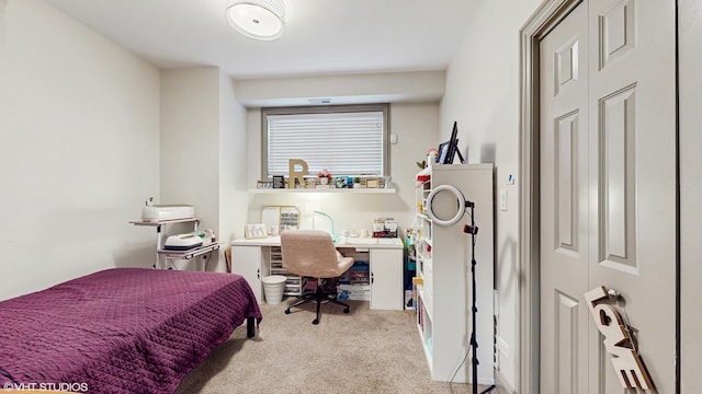 3933 S Indiana Ave Unit 1, Chicago, IL 60653 - photo 20