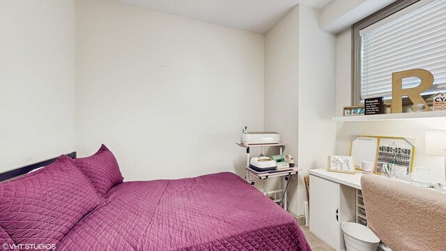 3933 S Indiana Ave Unit 1, Chicago, IL 60653 - photo 21