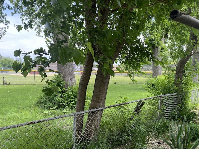 11737 S Kedvale Ave, Alsip, IL 60803 - view of yard