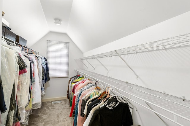 11646 Liberty Ln, Plainfield, IL 60585 - spacious closet with vaulted ceiling and carpet