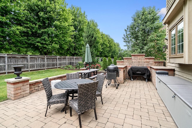 11646 Liberty Ln, Plainfield, IL 60585 - fenced backyard with a grill, outdoor dining space, and a patio area