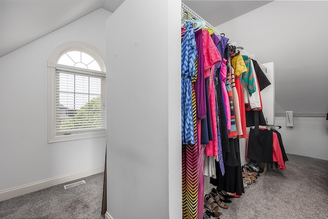 5327 Bamboo Ln, Naperville, IL 60564 - spacious closet featuring carpet floors and vaulted ceiling