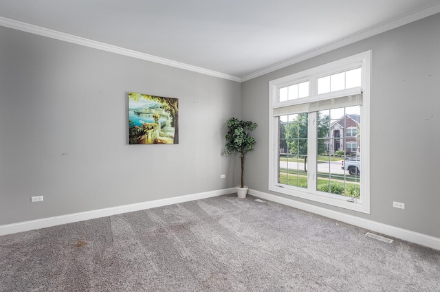 5327 Bamboo Ln, Naperville, IL 60564 - unfurnished room featuring ornamental molding and carpet floors