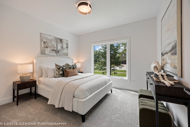 20 Pinnacle Ct, Naperville, IL 60565 - bedroom with carpet flooring and baseboards