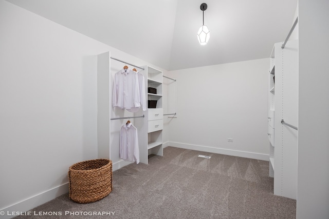 20 Pinnacle Ct, Naperville, IL 60565 - walk in closet featuring carpet flooring and lofted ceiling