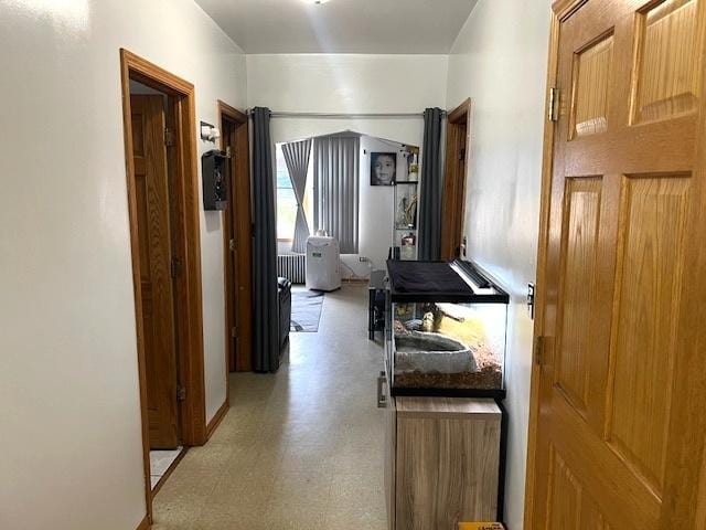 5536 S Albany Ave, Chicago, IL 60629 - hall with light floors and radiator