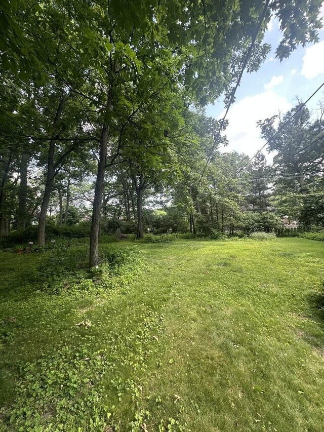 205 Timber Trail Dr, Oak Brook, IL 60523 - photo 21
