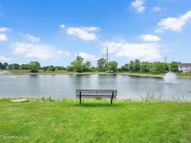 308 Ramsey Dr, Romeoville, IL 60446 - water view