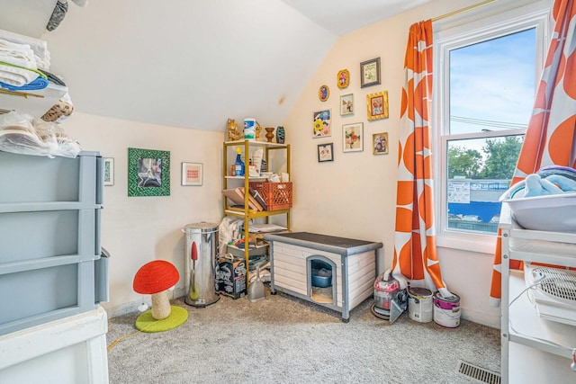 4025 W 24th St, Chicago, IL 60623 - misc room with vaulted ceiling and carpet flooring