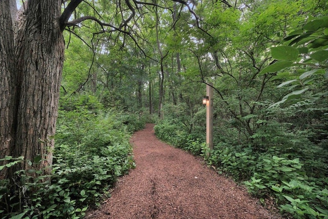 2 Timber Ridge Ln, Mansfield, IL 61854 - view of yard featuring a wooded view