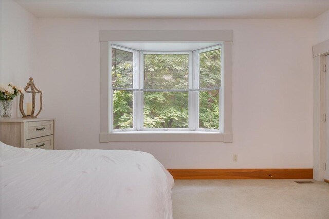 2 Timber Ridge Ln, Mansfield, IL 61854 - bedroom featuring carpet flooring and baseboards