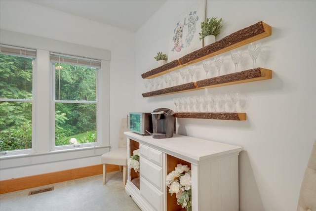 2 Timber Ridge Ln, Mansfield, IL 61854 - detailed view of carpet and baseboards