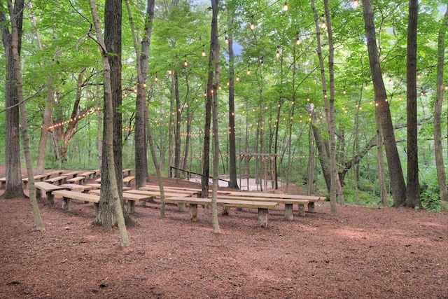 2 Timber Ridge Ln, Mansfield, IL 61854 - view of yard with a view of trees