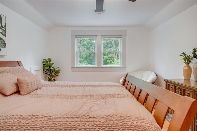 2 Timber Ridge Ln, Mansfield, IL 61854 - bedroom featuring vaulted ceiling