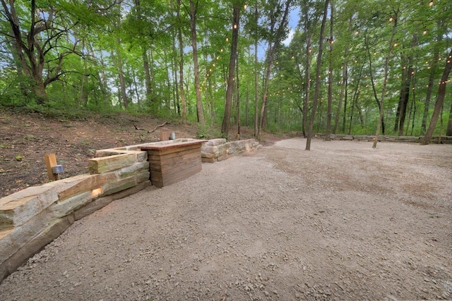 2 Timber Ridge Ln, Mansfield, IL 61854 - view of yard