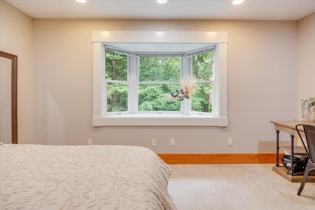 2 Timber Ridge Ln, Mansfield, IL 61854 - bedroom with recessed lighting and carpet floors
