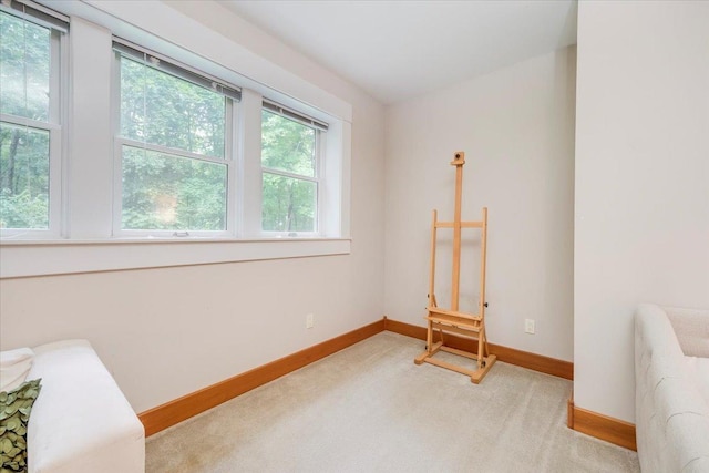 2 Timber Ridge Ln, Mansfield, IL 61854 - unfurnished bedroom with carpet and baseboards