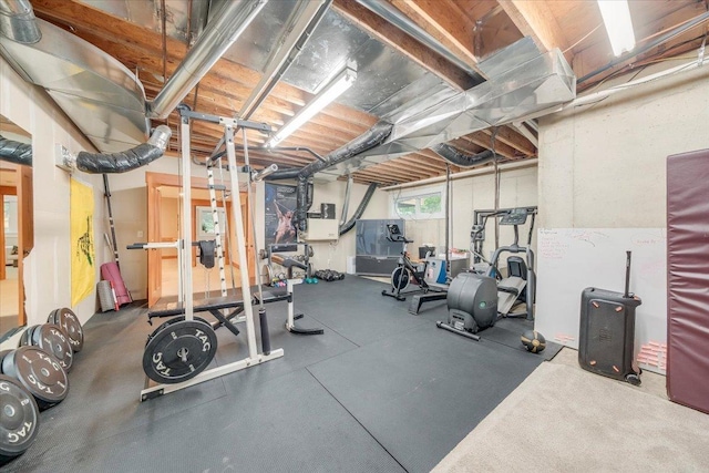 2 Timber Ridge Ln, Mansfield, IL 61854 - view of workout area