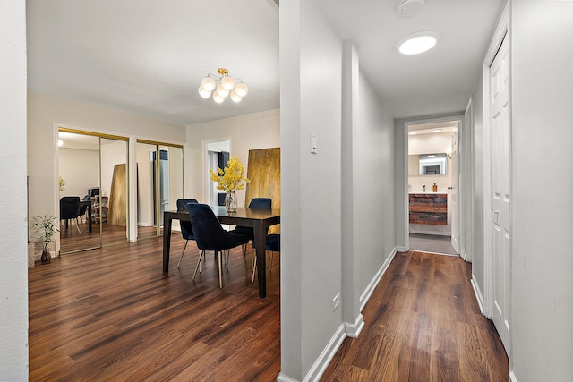 2648 Central Dr Unit Gn, Flossmoor, IL 60422 - corridor featuring dark wood-style flooring and baseboards