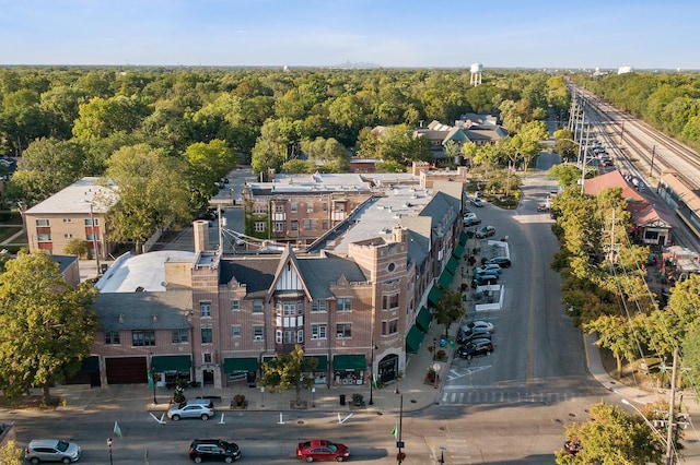 2648 Central Dr Unit Gn, Flossmoor, IL 60422 - drone / aerial view of a heavily wooded area