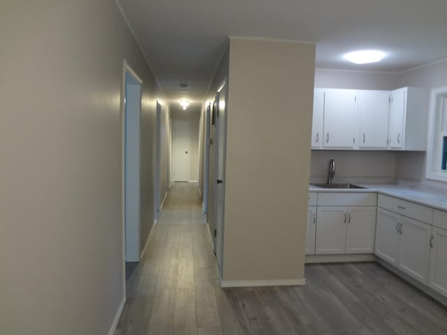 9802 Gallek Rd, Fox River Grove, IL 60021 - kitchen with white cabinetry, light wood-style floors, and light countertops