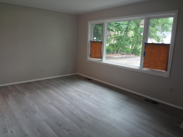 9802 Gallek Rd, Fox River Grove, IL 60021 - spare room with baseboards and wood finished floors