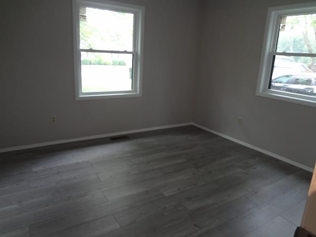 9802 Gallek Rd, Fox River Grove, IL 60021 - unfurnished room with plenty of natural light and dark wood-type flooring