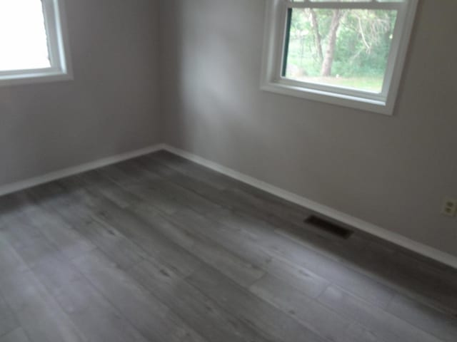 9802 Gallek Rd, Fox River Grove, IL 60021 - empty room featuring dark wood-style flooring