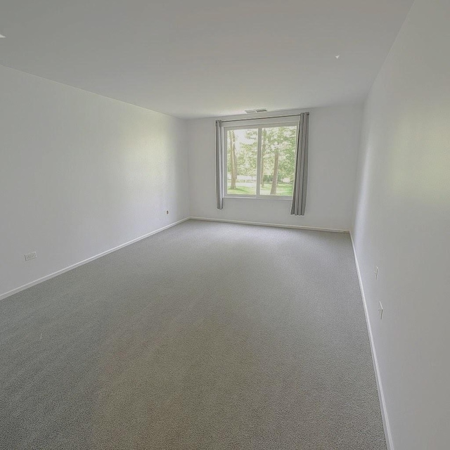 1125 Lake Cook Rd Unit 209, Northbrook, IL 60062 - carpeted spare room with baseboards