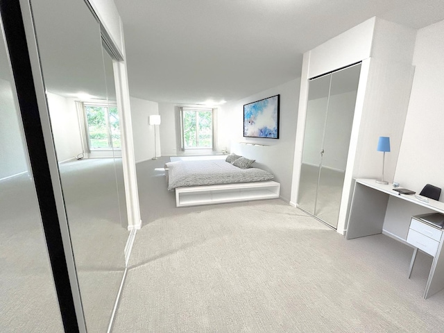 1125 Lake Cook Rd Unit 209, Northbrook, IL 60062 - carpeted bedroom featuring a closet