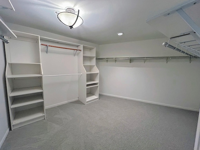 1125 Lake Cook Rd Unit 209, Northbrook, IL 60062 - spacious closet with carpet