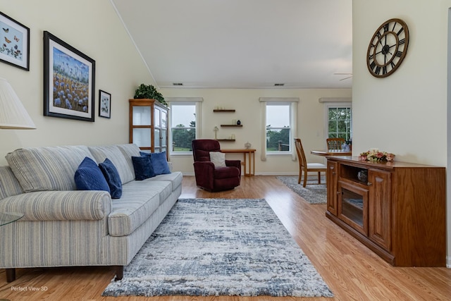 13832 S Balsam Ln Unit B, Plainfield, IL 60544 - living room featuring light wood-style floors, plenty of natural light, and crown molding