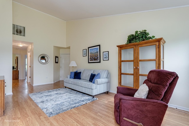 13832 S Balsam Ln Unit B, Plainfield, IL 60544 - living room featuring light wood finished floors and a high ceiling