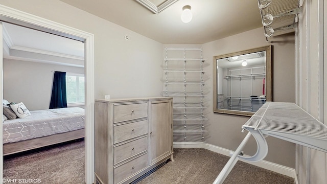 14948 S Preserve Dr, Lockport, IL 60441 - walk in closet featuring carpet floors