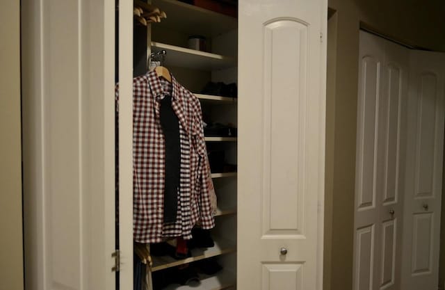 4435 S Oakenwald Ave Unit 1, Chicago, IL 60653 - view of closet
